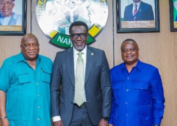Image Spin: NAICOM Stirs up ECOWAS Brown Card Insurance Value Chain