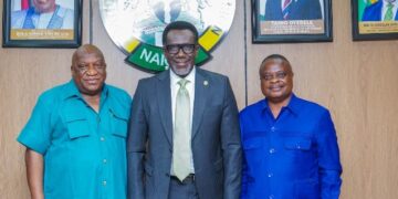 Image Spin: NAICOM Stirs up ECOWAS Brown Card Insurance Value Chain