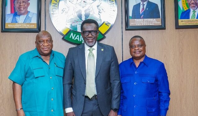 Image Spin: NAICOM Stirs up ECOWAS Brown Card Insurance Value Chain