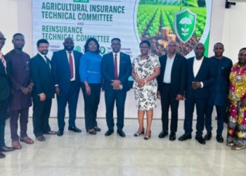 Partners, NAICOM, Stakeholders Set Pillars to Raise Insurance Stake in GDP From 0.5 to 10% by 2031