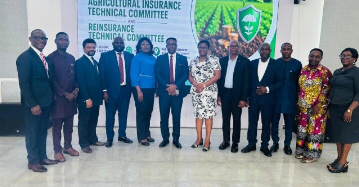 Partners, NAICOM, Stakeholders Set Pillars to Raise Insurance Stake in GDP From 0.5 to 10% by 2031