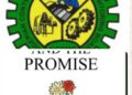 Nwabuikwu’s ‘The Pain And The Promise’ Features in NCDMB Book Reading