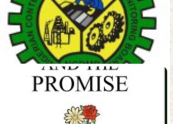 Nwabuikwu’s ‘The Pain And The Promise’ Features in NCDMB Book Reading