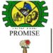 Nwabuikwu’s ‘The Pain And The Promise’ Features in NCDMB Book Reading